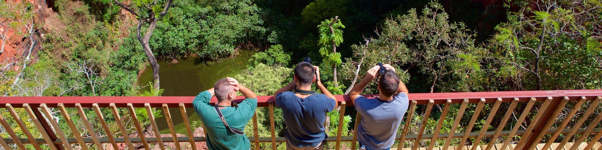 Bonito showing views and a lake or waterhole as well as a small group of people