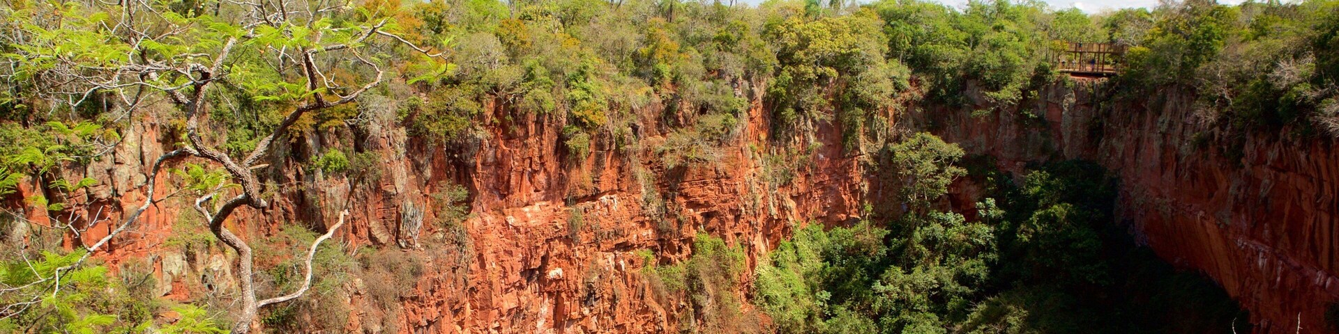 ๋ณด๋ํ ์ ๋ณด์ฌ์ฃผ๋ ์ฒ