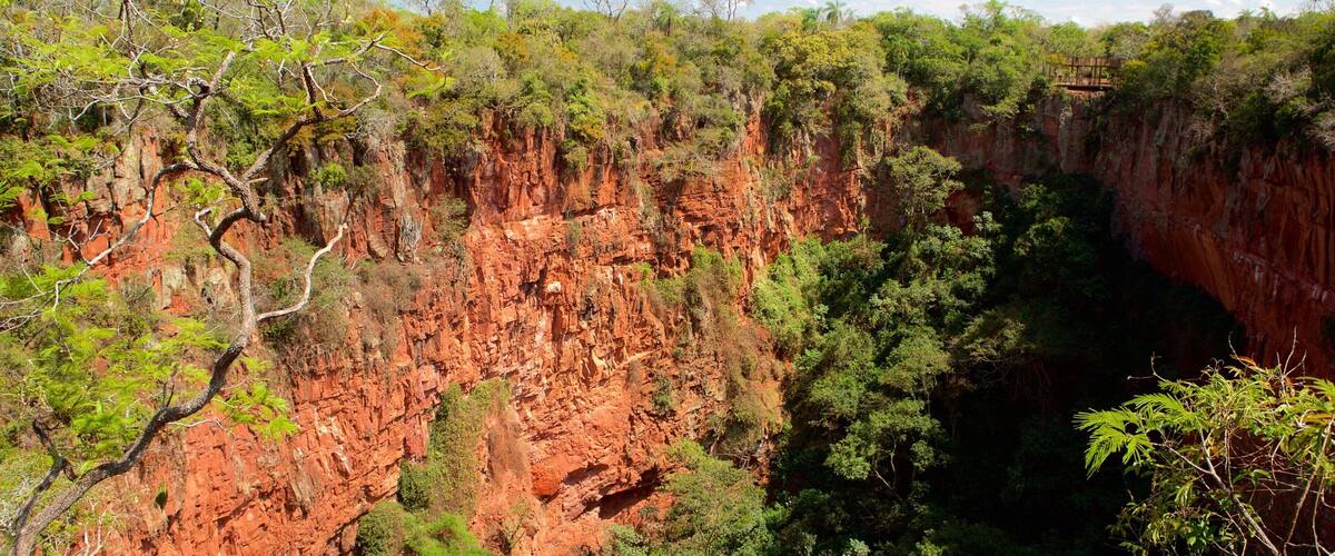 Bonito which includes forest scenes