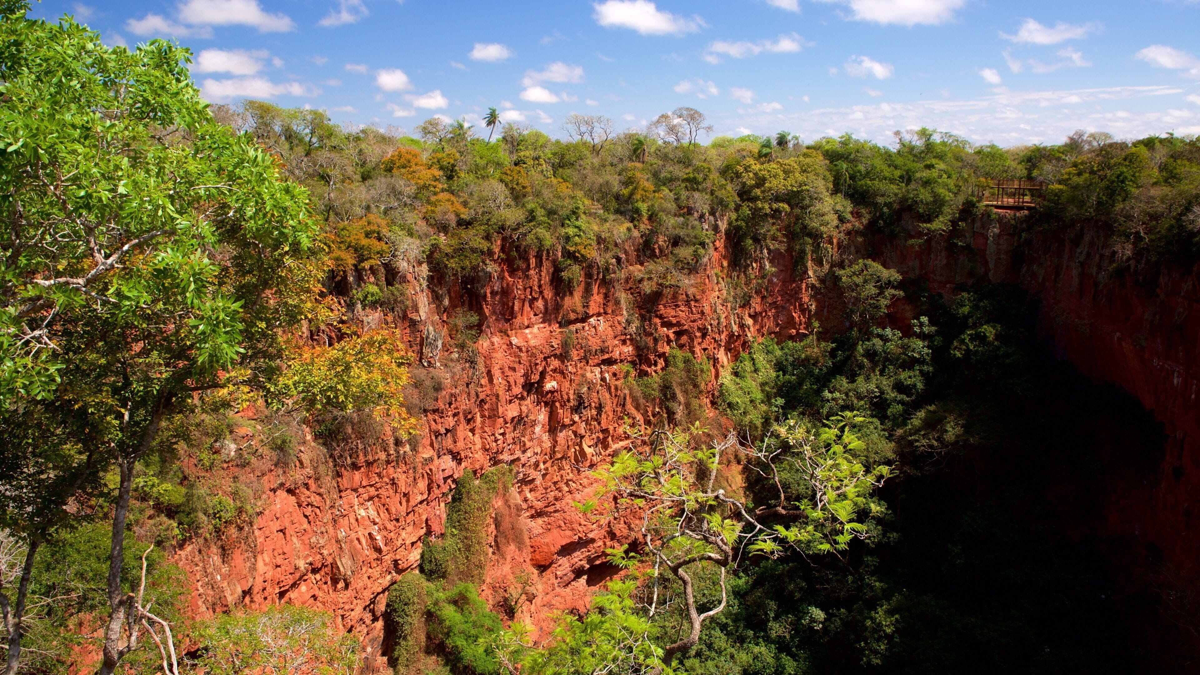 Bonito featuring a gorge or canyon and forest scenes