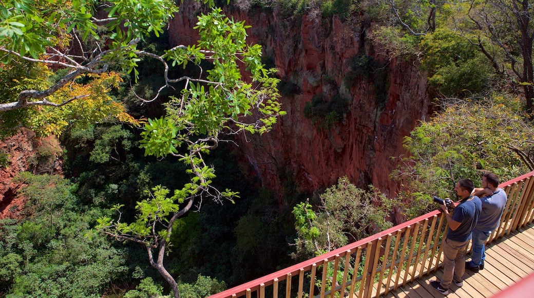 Bonito som viser utsikt, kløft eller juv og skog