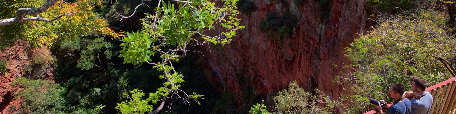 Bonito featuring forests, views and a gorge or canyon