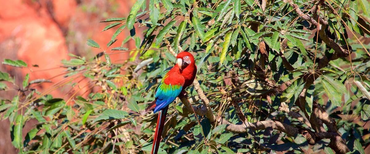 ๋ณด๋ํ ์ด ํฌํจ ์กฐ๋ฅ