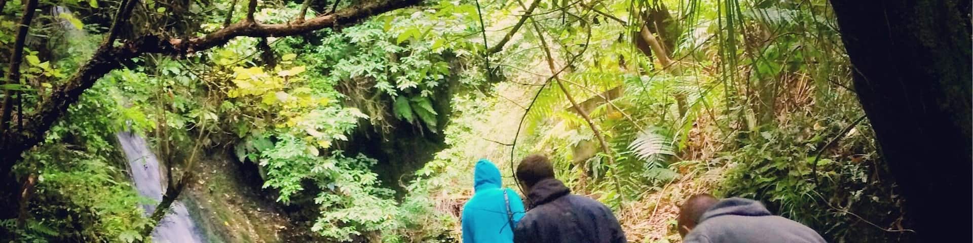 McLaren Falls Park have a few great walking traks. The best is definitely Glow Worm Track where when the sun goes down you can see this strange little lights all over the woods. We loved it so if you will be somewhere near this place check it out!
#TakeaHike