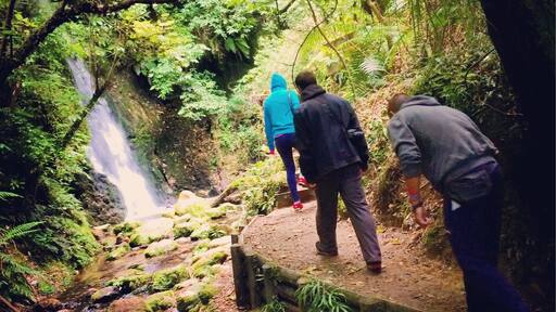 McLaren Falls Park have a few great walking traks. The best is definitely Glow Worm Track where when the sun goes down you can see this strange little lights all over the woods. We loved it so if you will be somewhere near this place check it out!
#TakeaHike