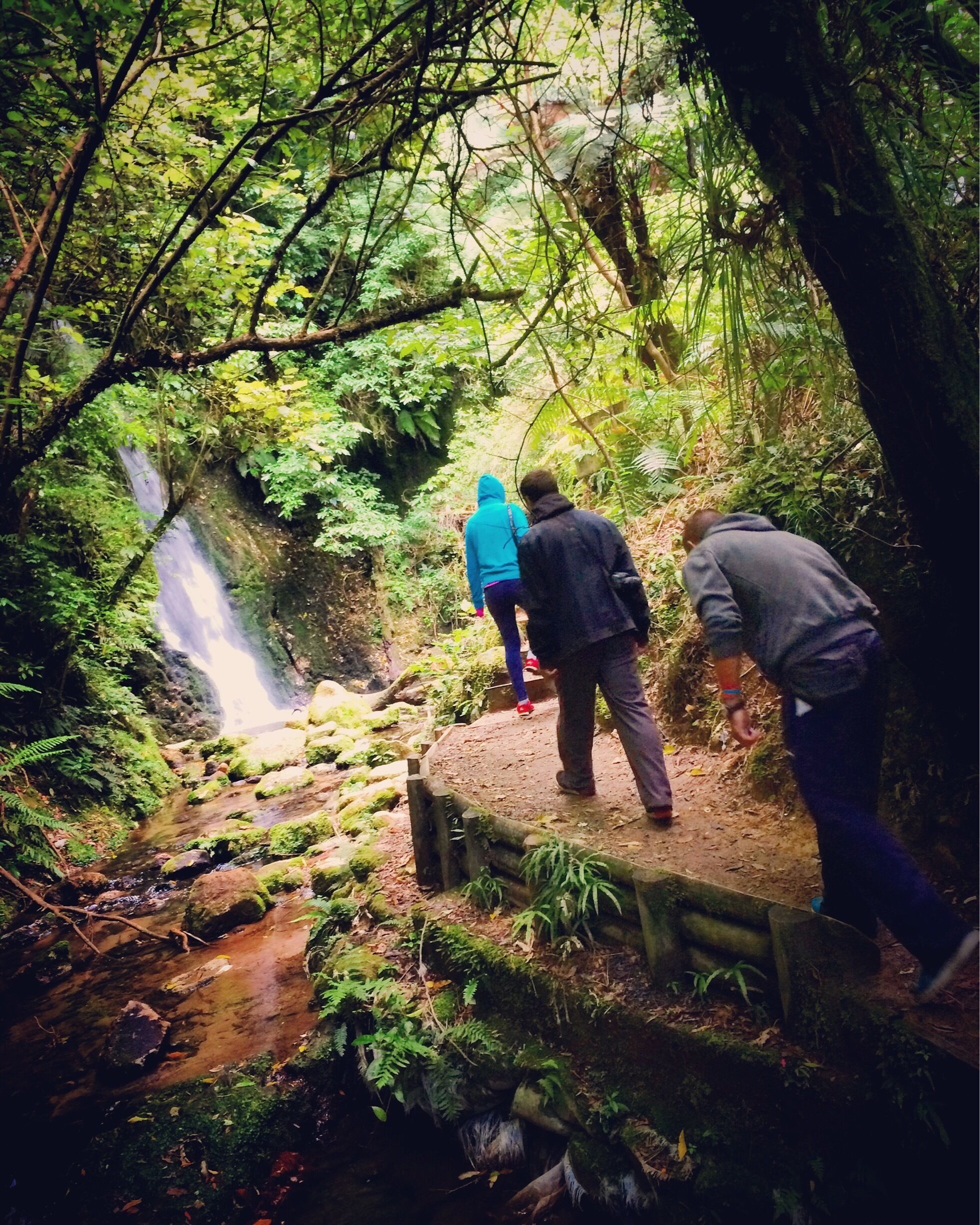 A forested area with a small waterfall, a wooden bridge, and a person in a blue jacket walking towards the waterfall.