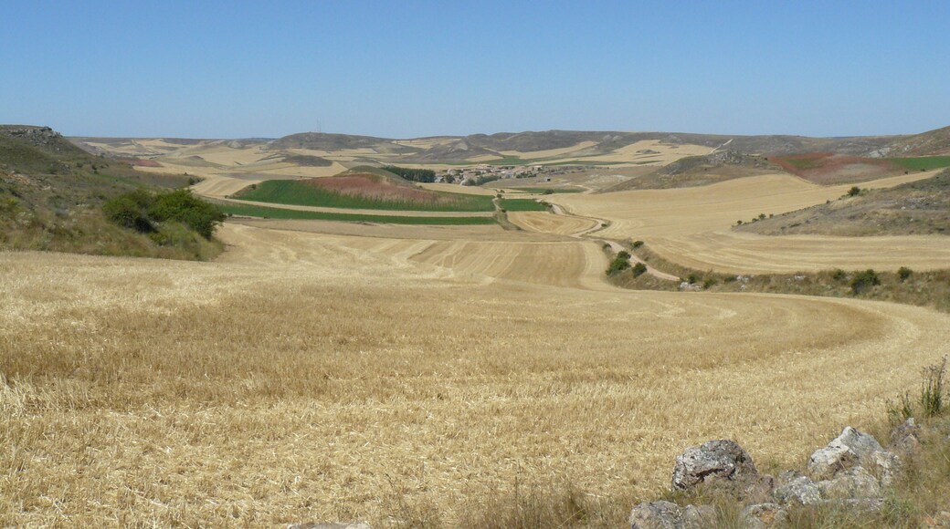 Vista de Blocona (Soria) entre los campos de cultivo.