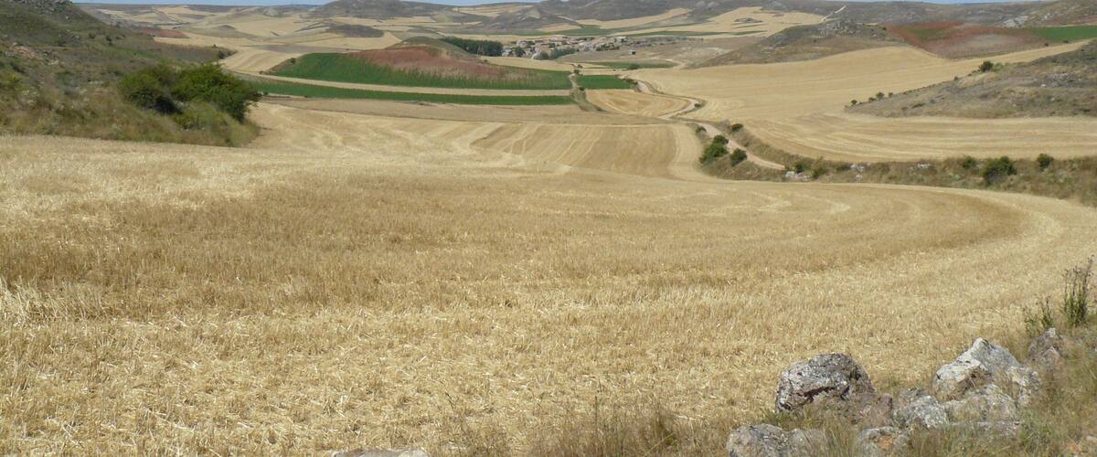 A vast agricultural landscape with rolling hills, fields, and a clear blue sky.