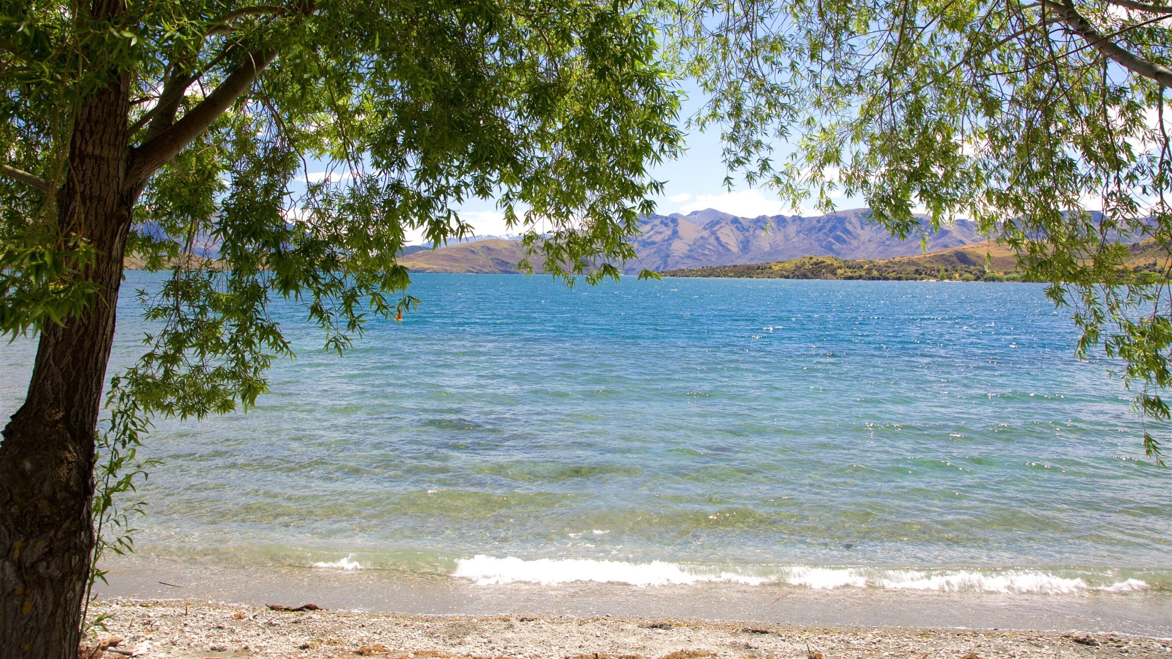 A calm lake with clear water, surrounded by mountains and a tree with green leaves in the foreground.