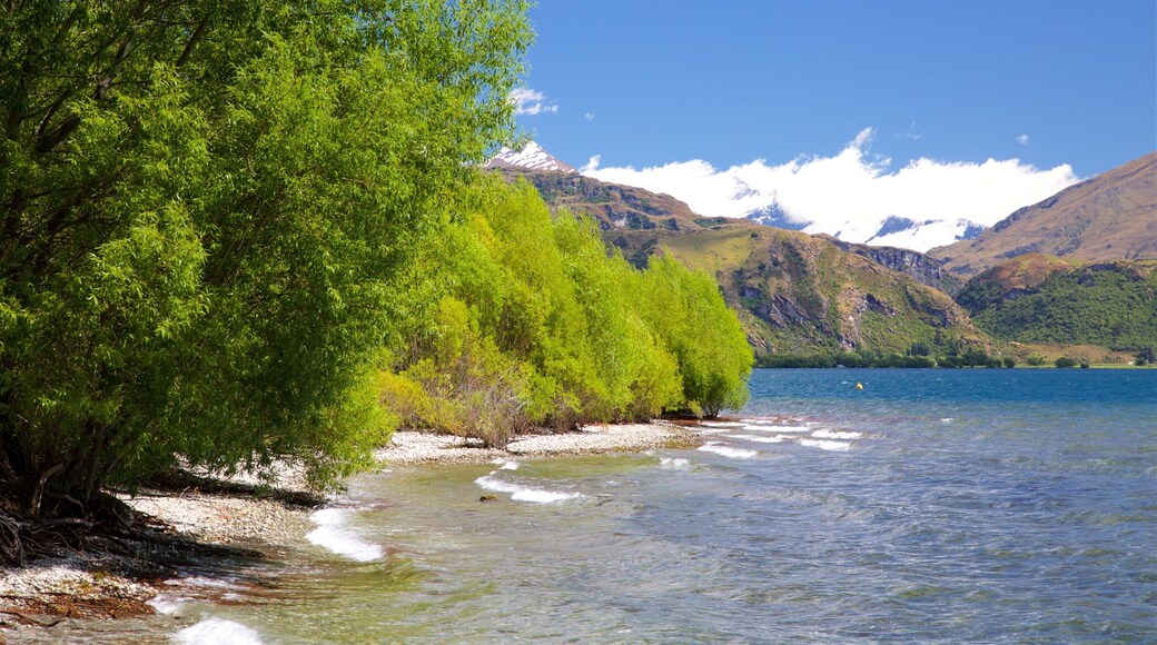 Wanaka showing a pebble beach, mountains and a bay or harbor