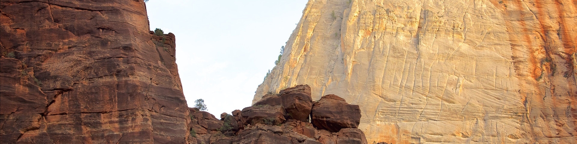 Zion National Park featuring landscape views, mountains and tranquil scenes