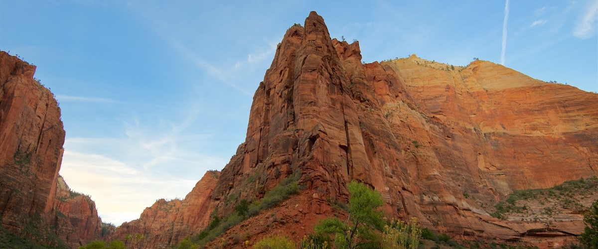 Parque Nacional Zion que incluye un barranco o cañón, vistas de paisajes y escenas tranquilas