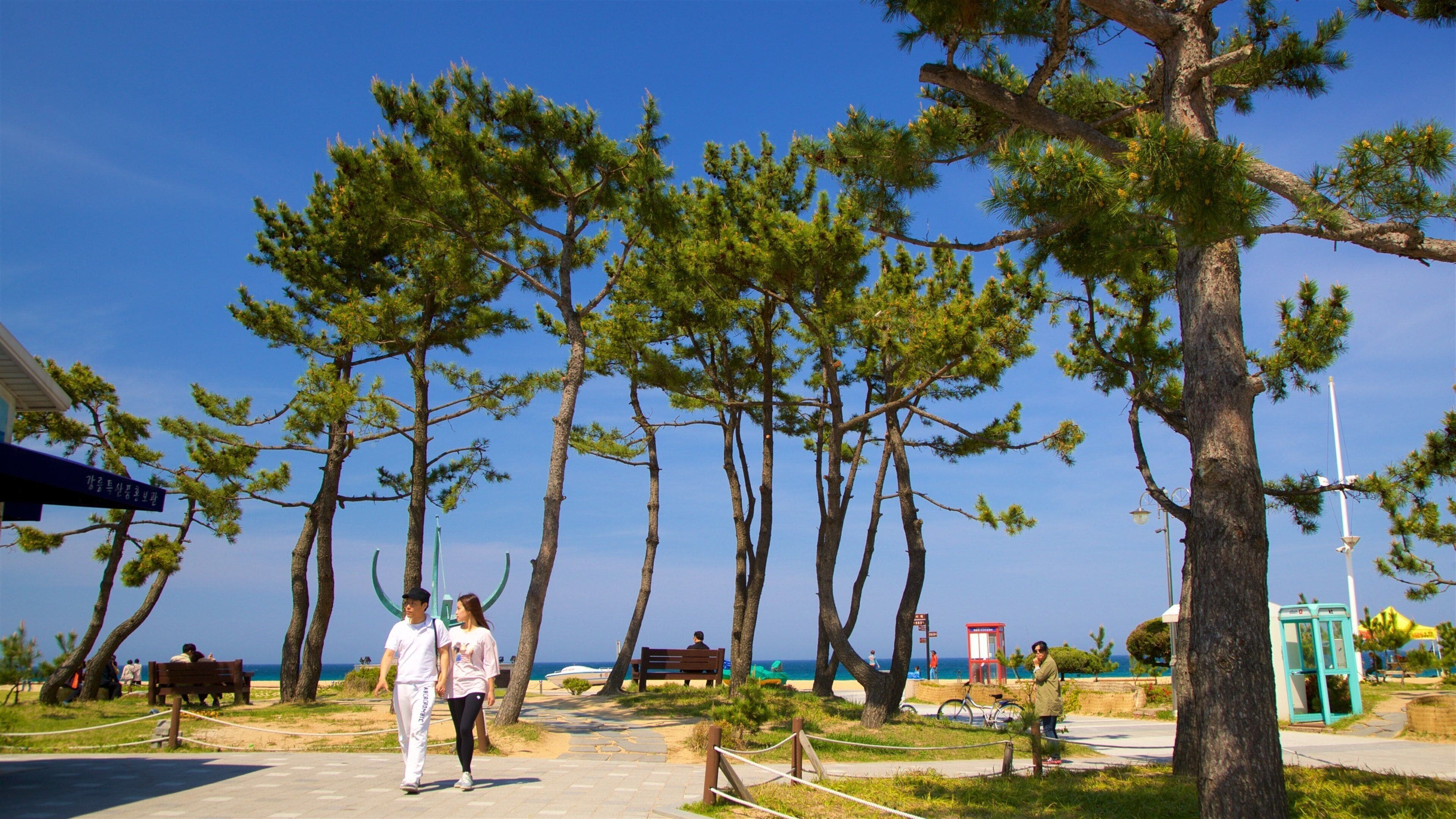 Gangneung toont algemene kustgezichten en een park en ook een stel