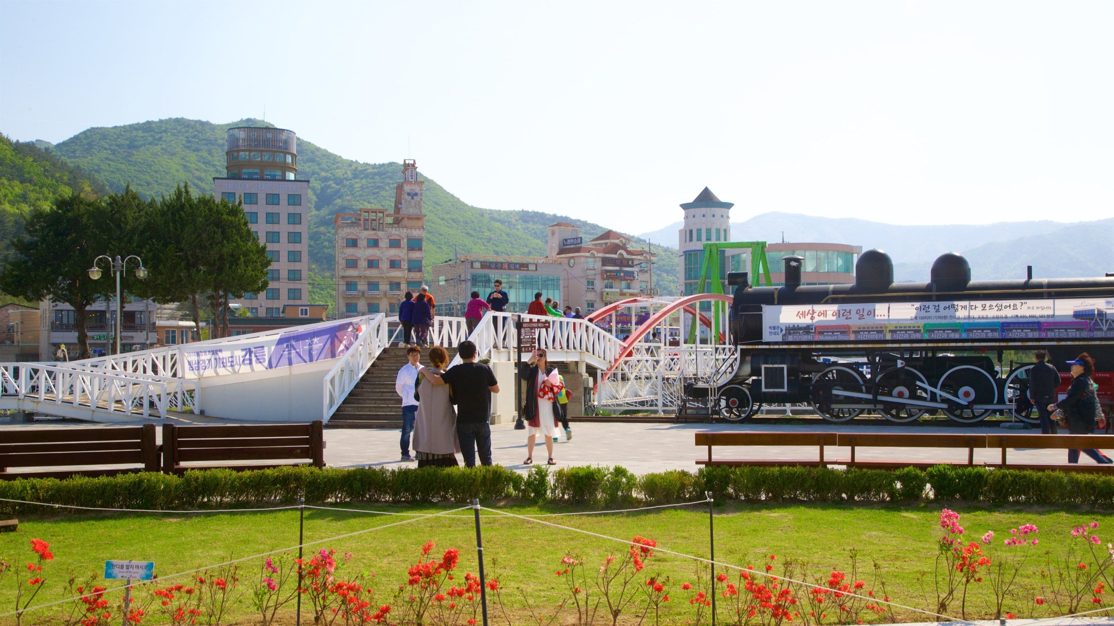 Gangneung featuring wildflowers and a garden as well as a small group of people