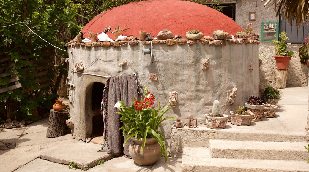 Tequisquiapan featuring heritage elements