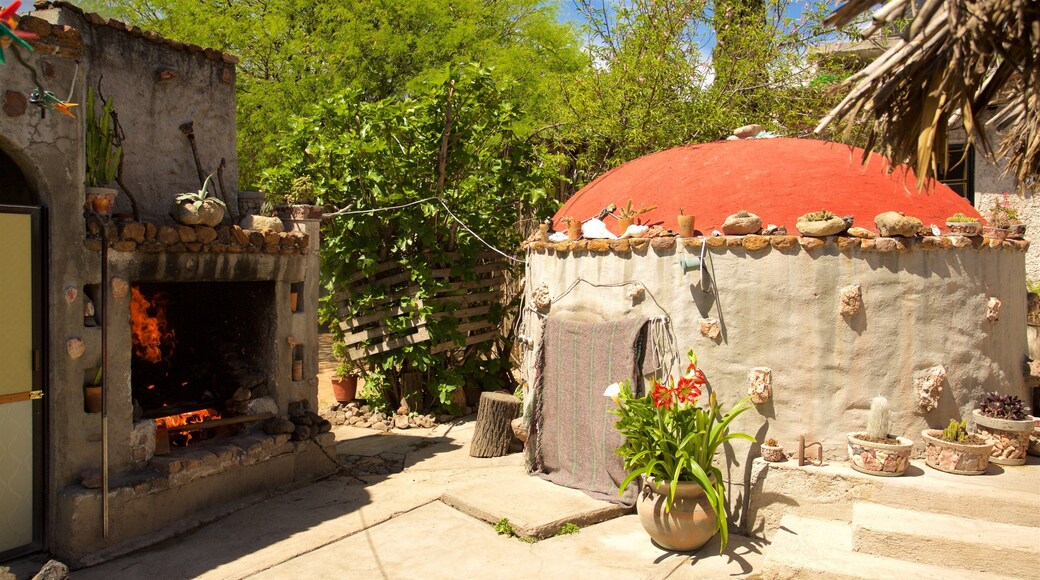 Temazcal Tonatiu Iquzayampa