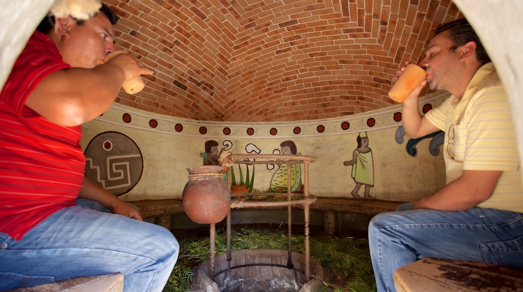 Tequisquiapan showing heritage elements and interior views