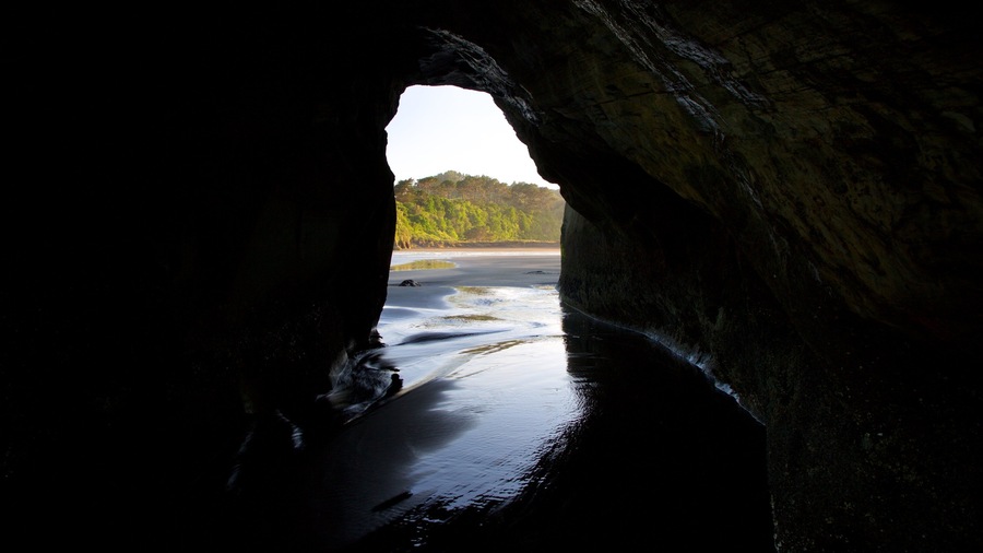 Tongaporutu featuring a bay or harbour, a sandy beach and rocky coastline