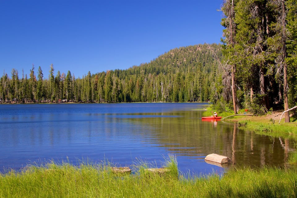 A calm lake surrounded by dense forest and a clear blue sky.