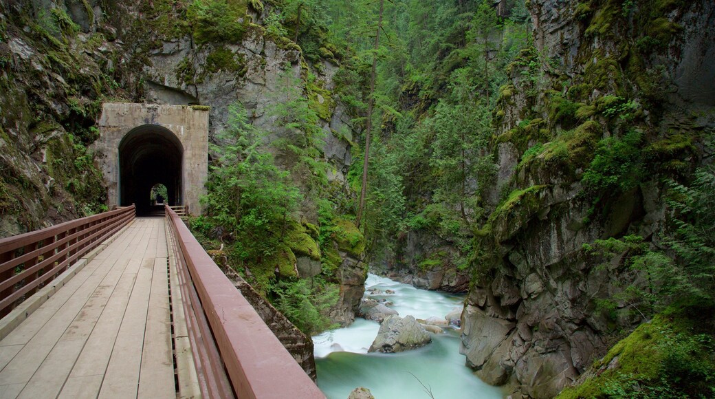 Othello Tunnels showing a river or creek, a bridge and a gorge or canyon