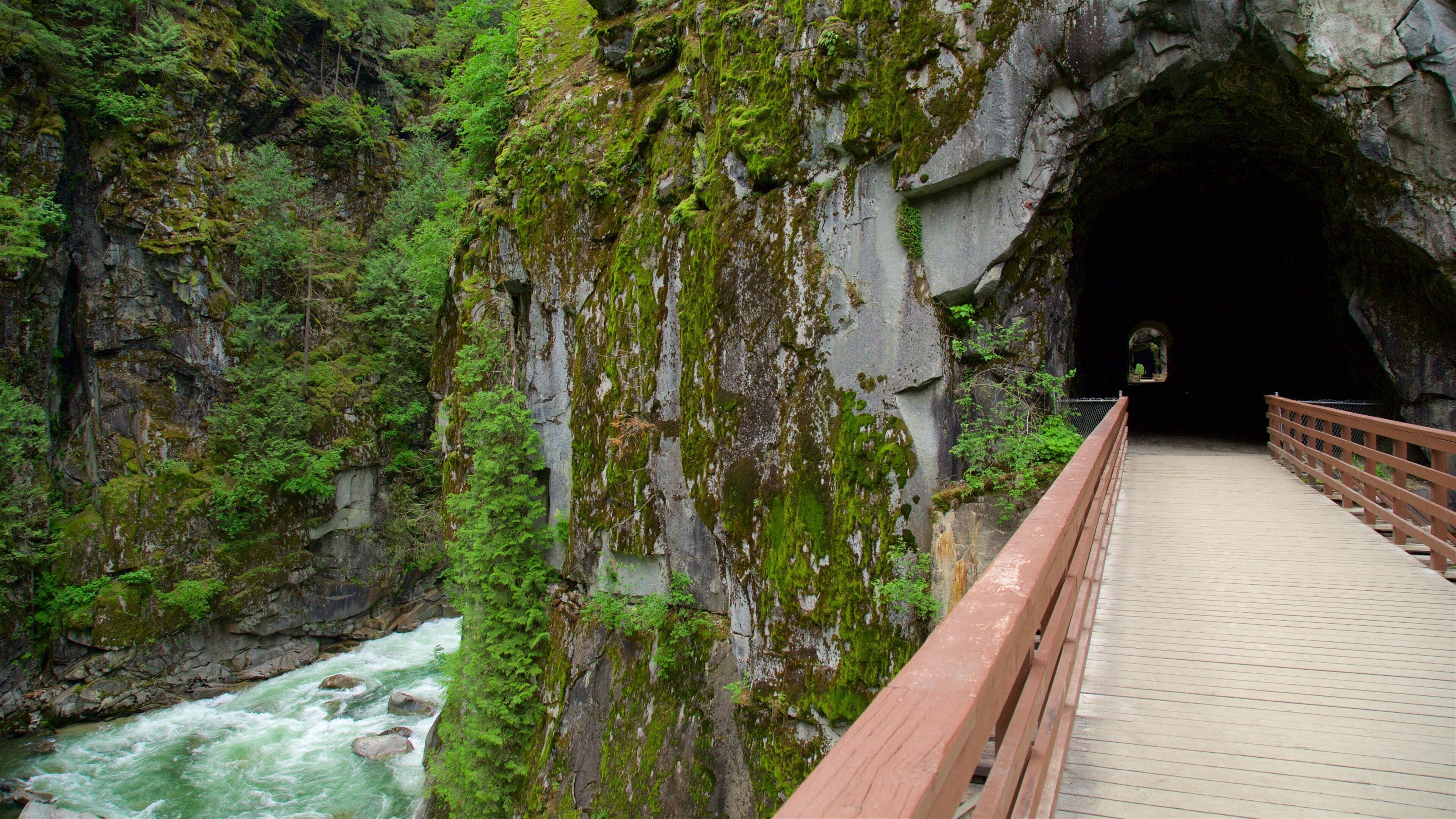 Vancouver-kysten fasiliteter samt bro, fossestryk og kløft eller juv