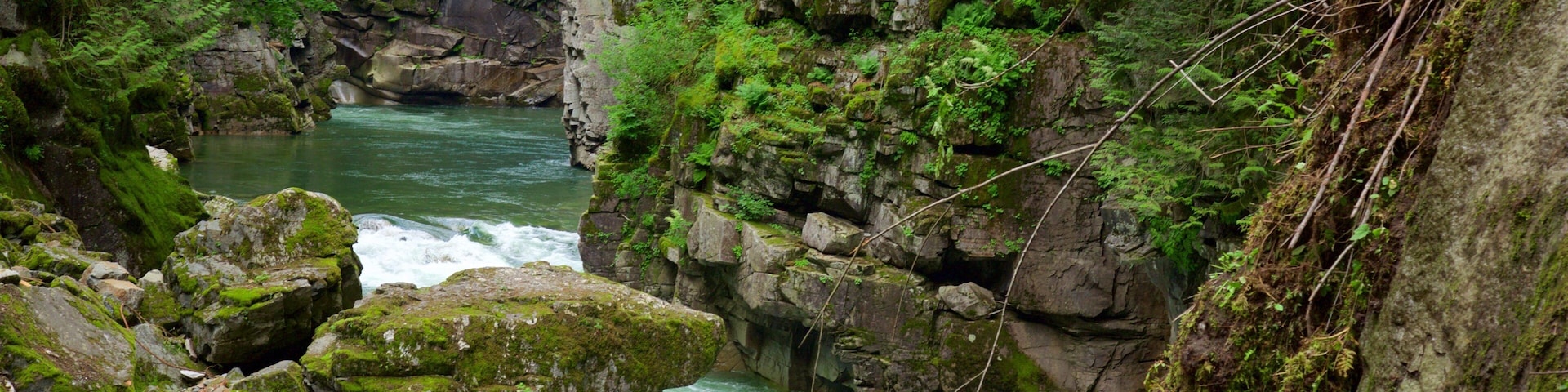 Costa de Vancouver caracterizando córrego