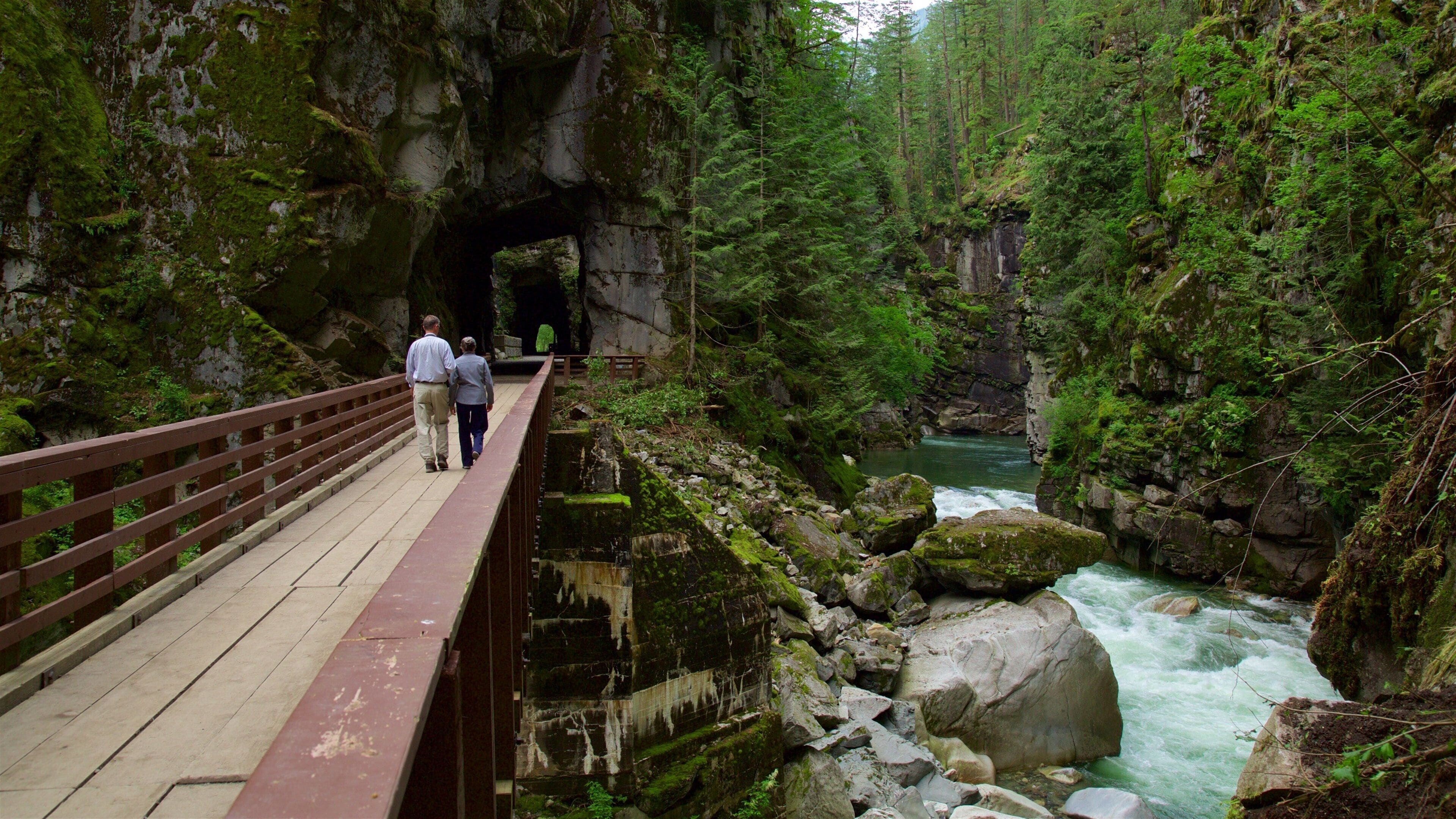 Vancouver-kusten presenterar skogar, en bro och en å eller flod