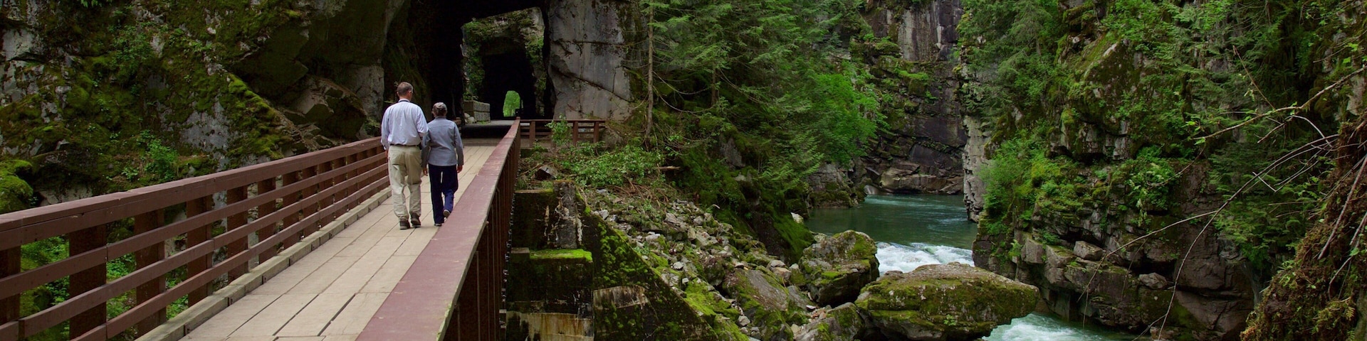 Vancouver Coast which includes a bridge, forest scenes and a river or creek