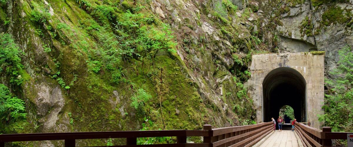 Costa de Vancouver que incluye un puente y bosques y también un pequeño grupo de personas