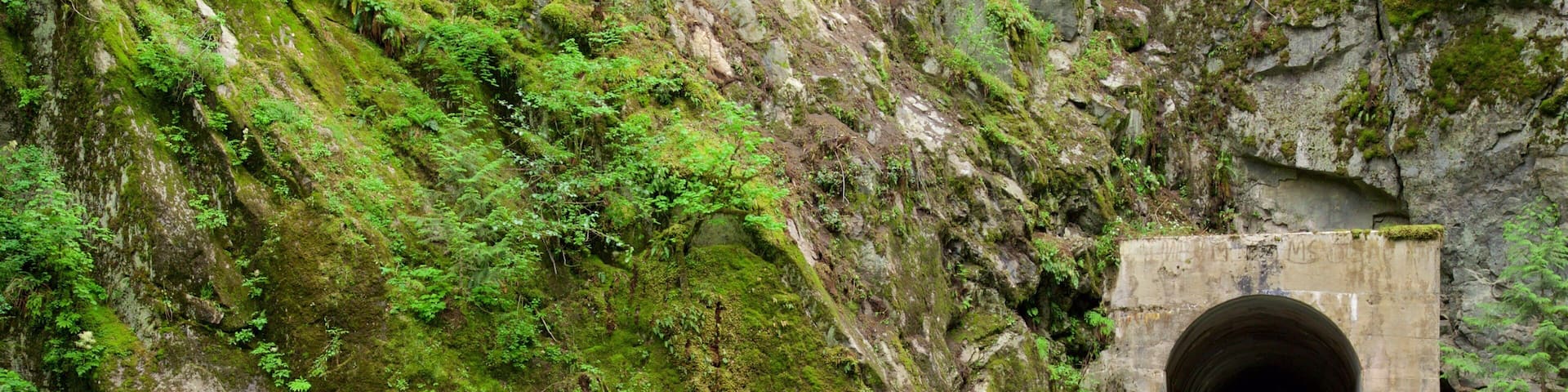 A wooden bridge leading to a stone tunnel in a lush, green mountainous area.