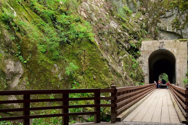 A wooden bridge leading to a stone tunnel in a lush, green mountainous area.