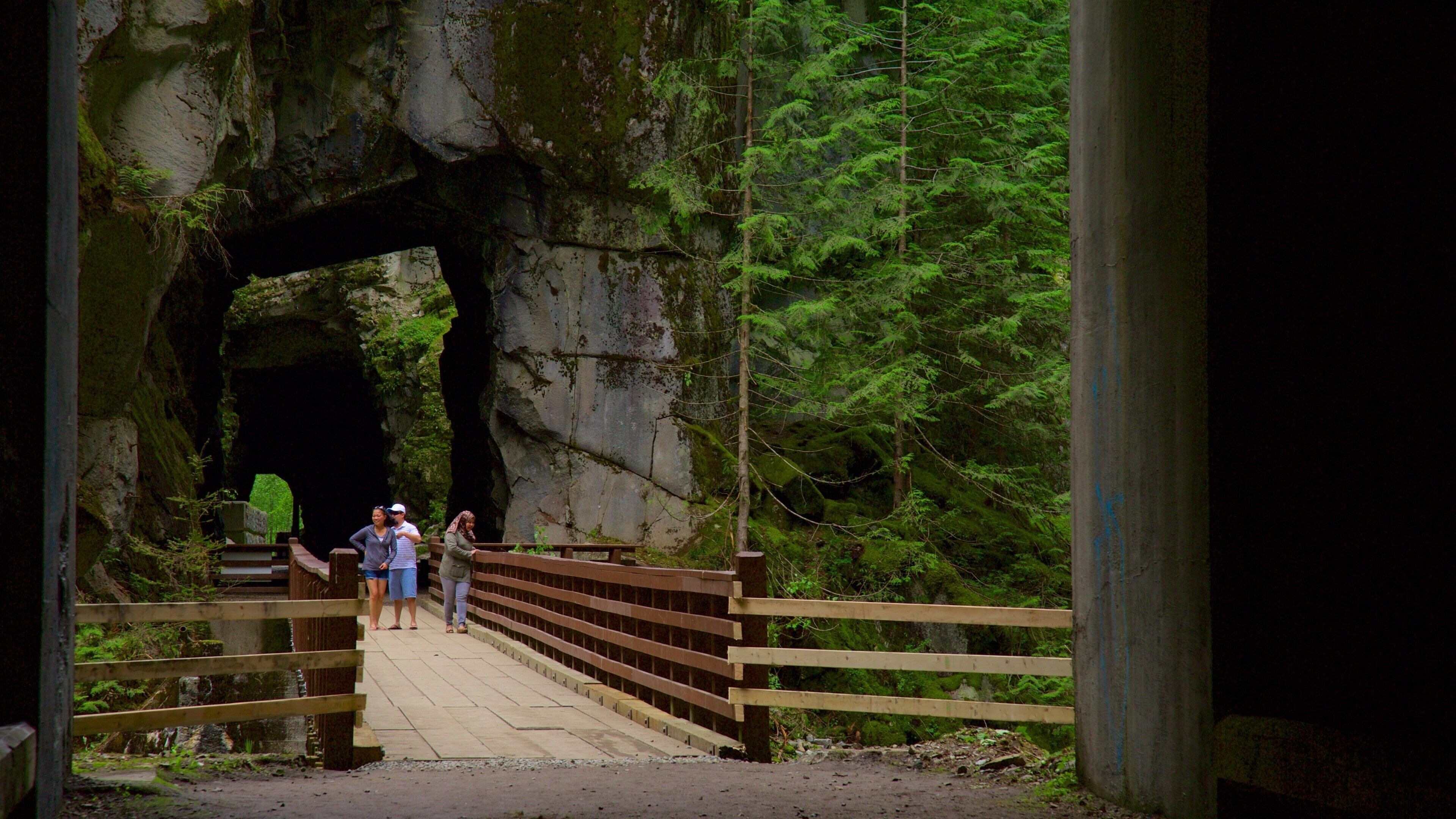 Kust van Vancouver inclusief bos en een brug en ook een klein groepje mensen