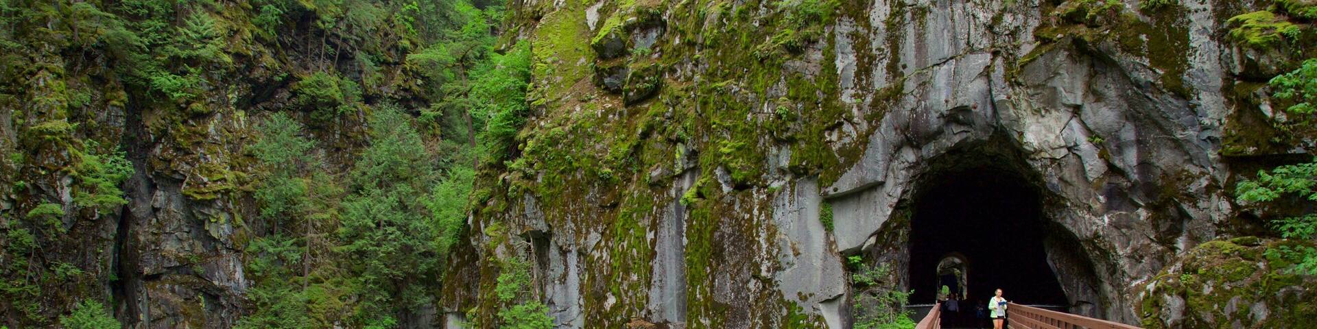 CĂŽte de Vancouver montrant une gorge ou un canyon, rapides et un pont
