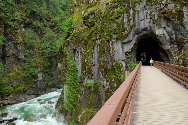 Vancouver Coast showing a gorge or canyon, a bridge and rapids