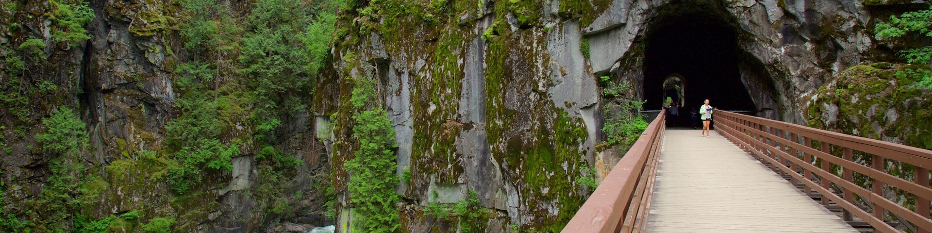 Vancouver Coast showing rapids, a gorge or canyon and a bridge