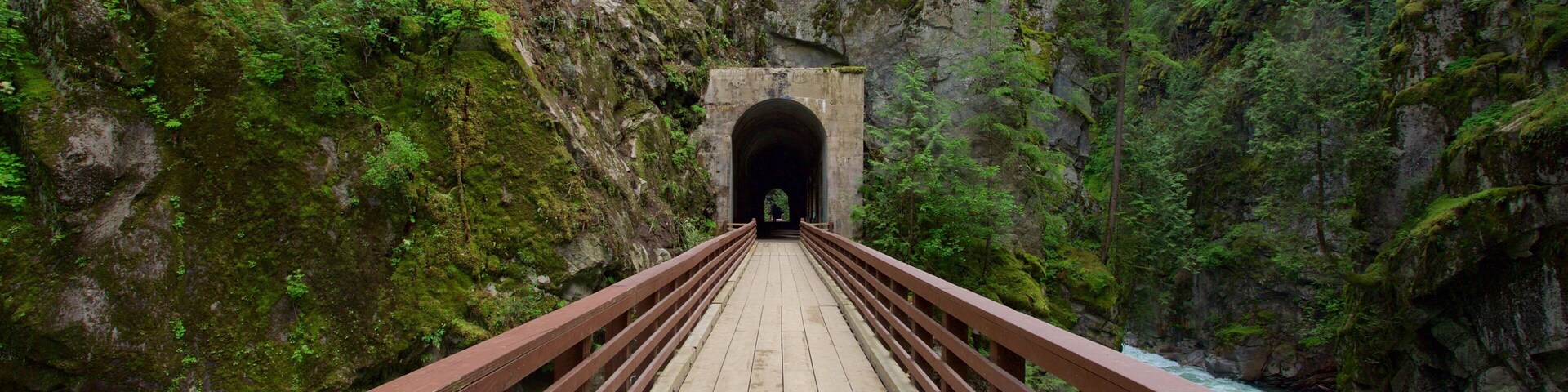 Costa de Vancouver caracterizando cenas de floresta, um desfiladeiro ou canyon e uma ponte