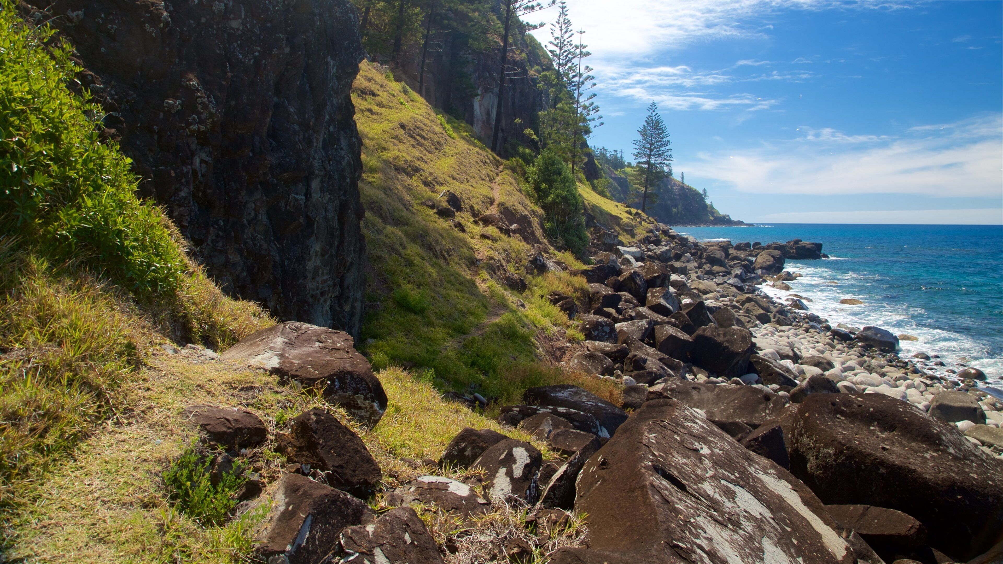 Île Norfolk qui includes vues littorales et côte rocheuse