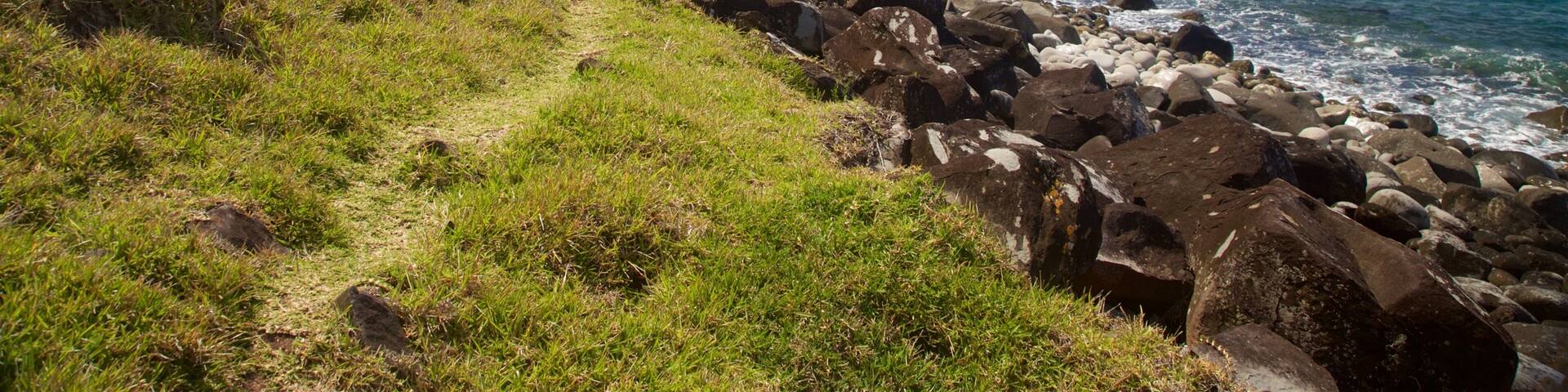 A coastal path with rocky outcrops and grassy terrain.