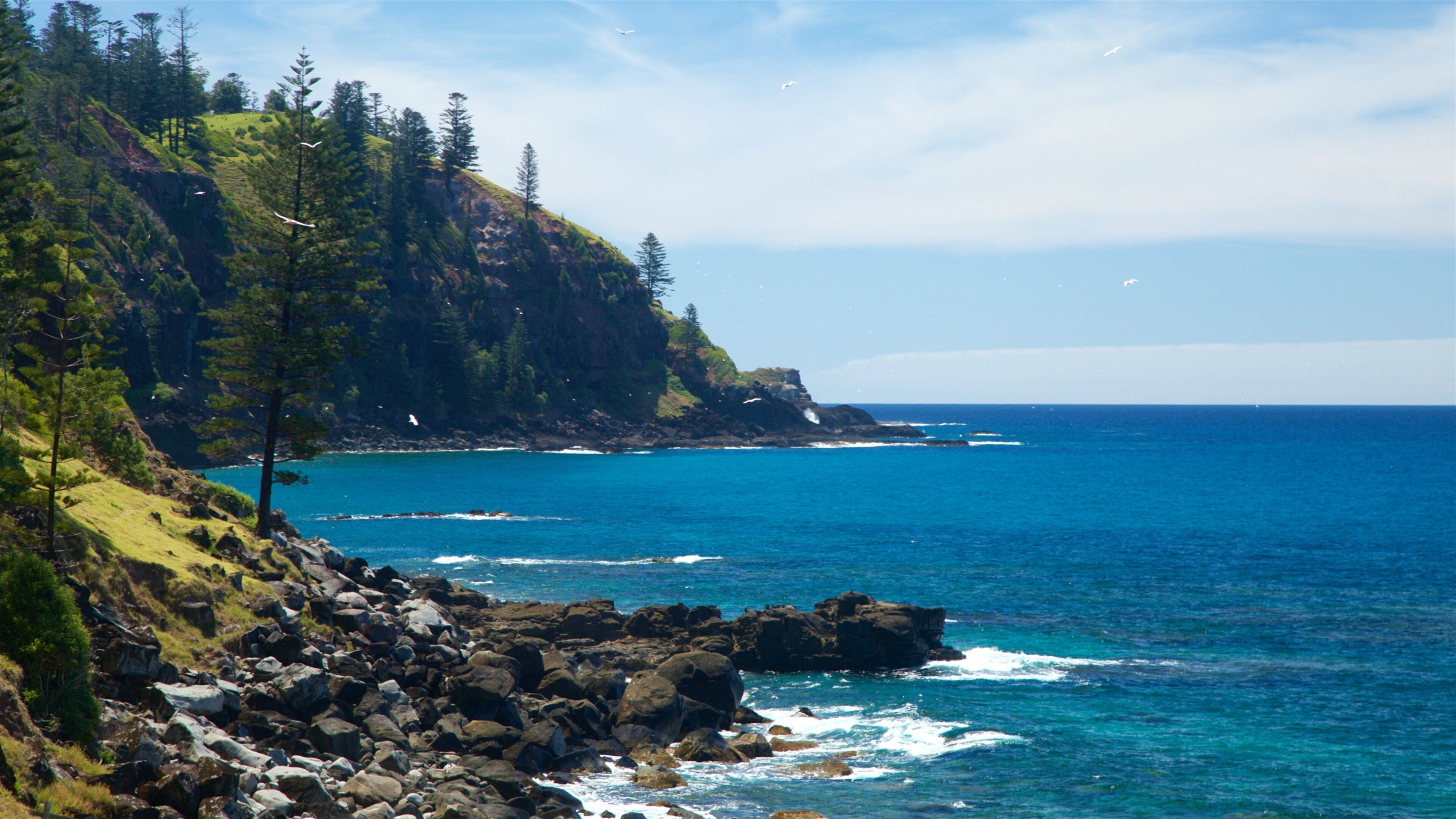 Isla Norfolk ofreciendo litoral rocoso y vistas de una costa