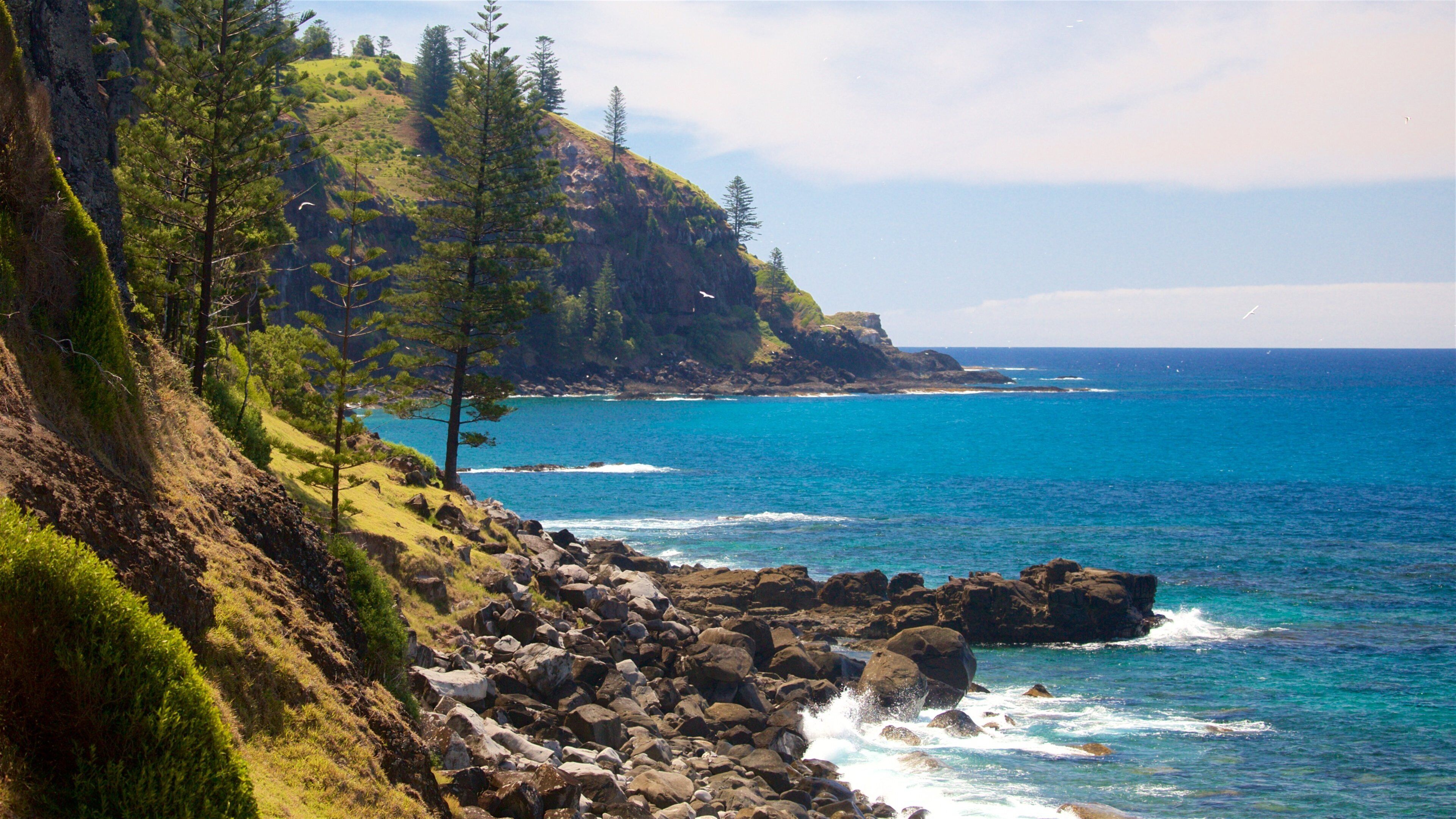 Île Norfolk mettant en vedette vues littorales et côte rocheuse