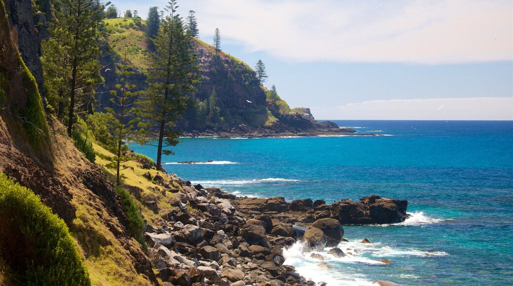 Ăle Norfolk mettant en vedette vues littorales et cĂŽte rocheuse