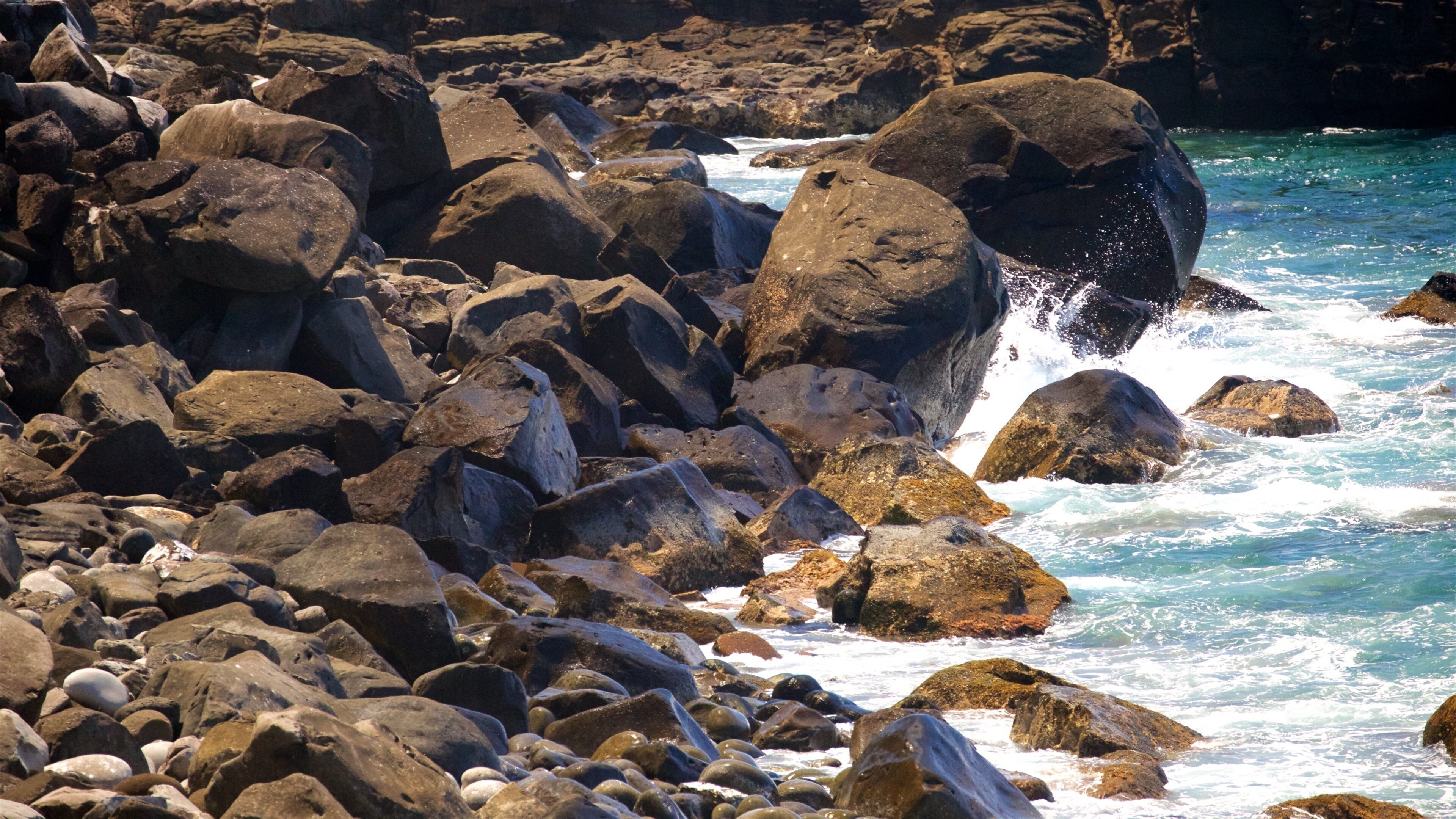 노퍽 섬 을 특징 일반 해안 전경 과 암석 해안선