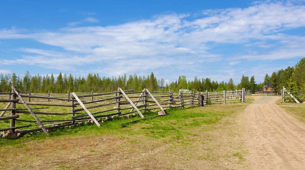 Luosto which includes forests, farmland and tranquil scenes