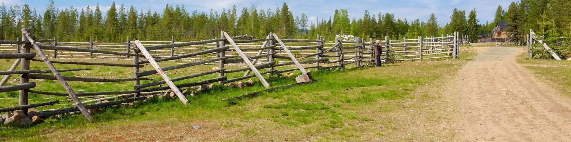 Luosto mit einem Farmland, Waldmotive und ruhige Szenerie