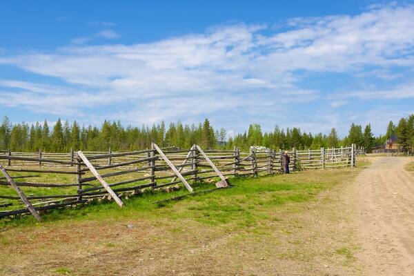 Luosto mit einem Farmland, Waldmotive und ruhige Szenerie