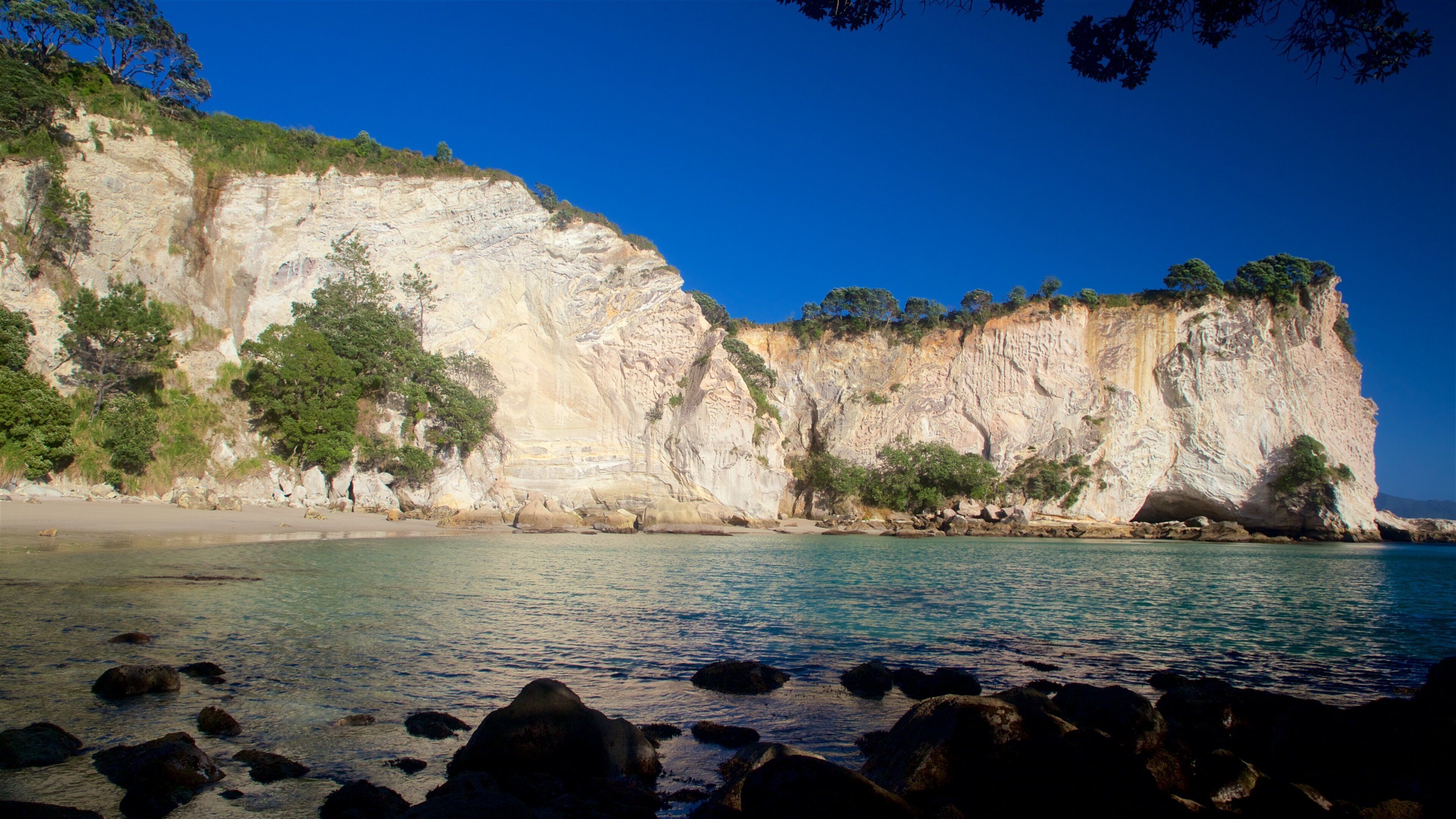 Whitianga showing rocky coastline and general coastal views