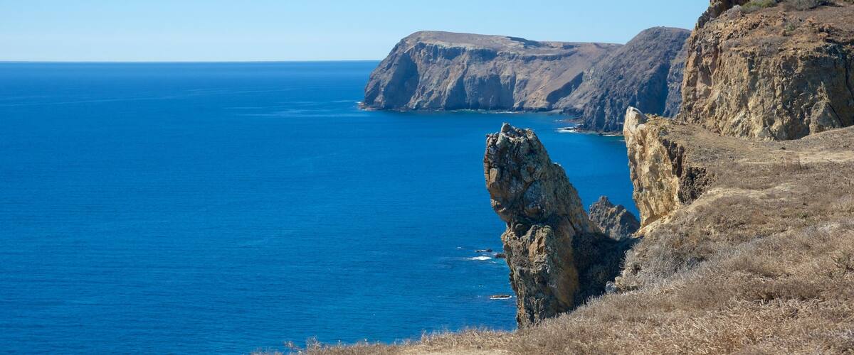 Pinniped Point showing rocky coastline and general coastal views