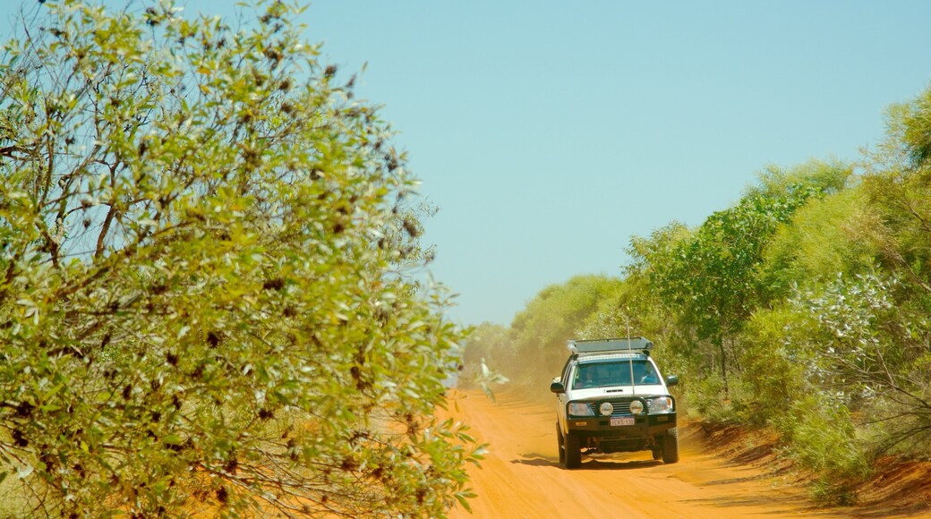 Broome which includes tranquil scenes, landscape views and touring