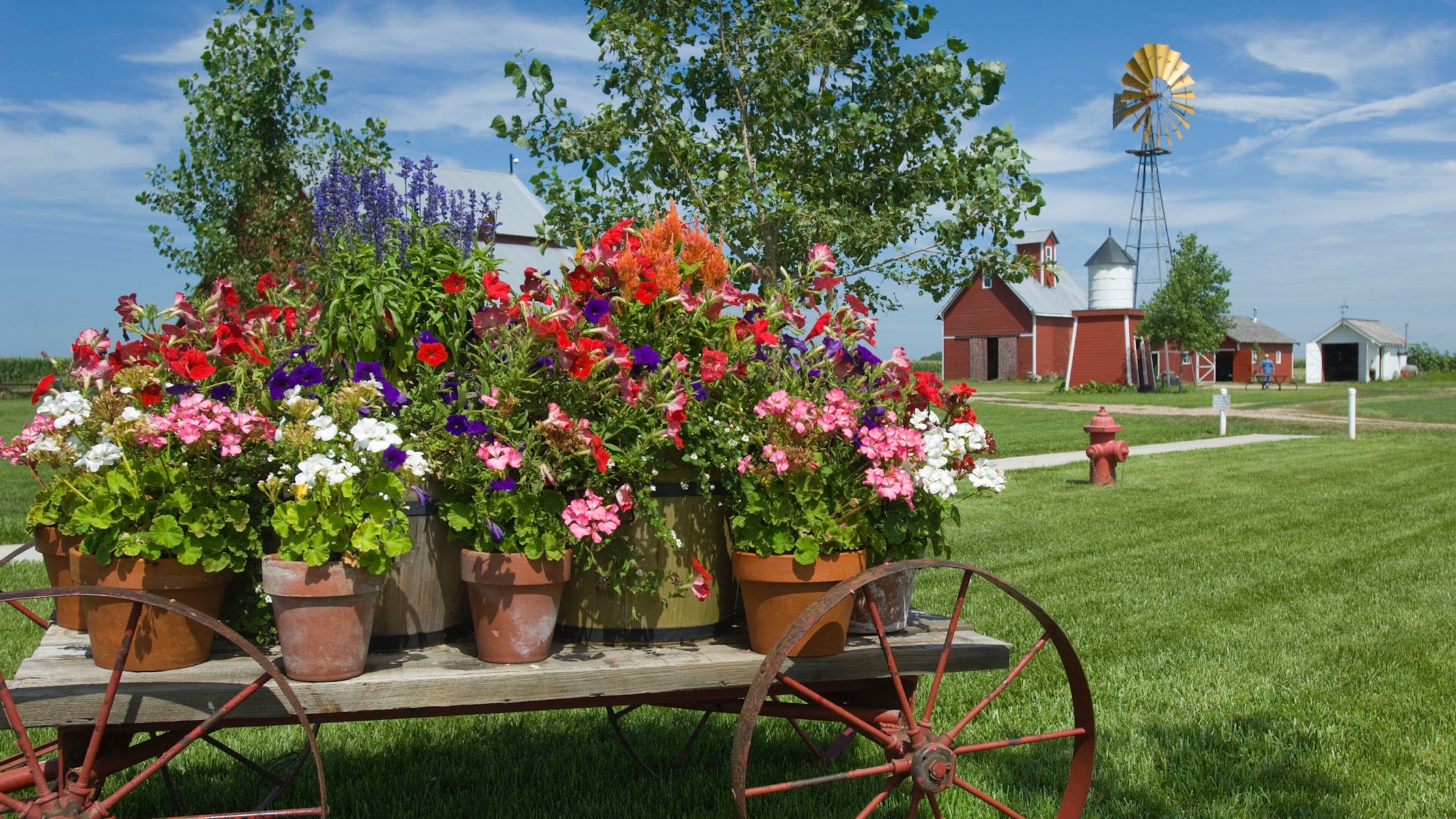 Wessels Living History Farm featuring farmland and flowers