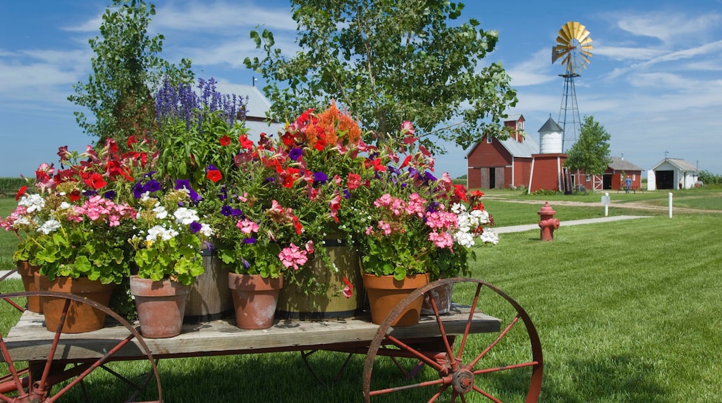 Wessels Living History Farm featuring farmland and flowers